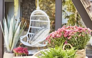 Perfect Napa A-Frame - Napa, California
