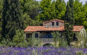 San Miguel Vineyard Estate - San Miguel de Allende, Mexico