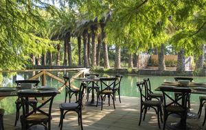 San Miguel Vineyard Estate - San Miguel de Allende, Mexico