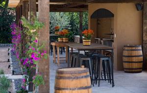 San Miguel Vineyard Estate - San Miguel de Allende, Mexico