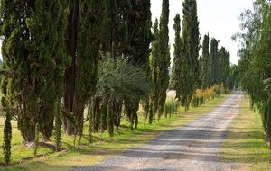 San Miguel Vineyard Estate - San Miguel de Allende, Mexico
