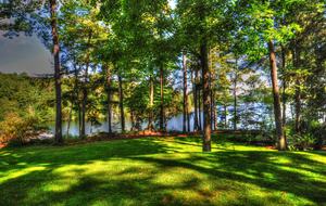 Lake of Bays Cottage - Baysville, Canada