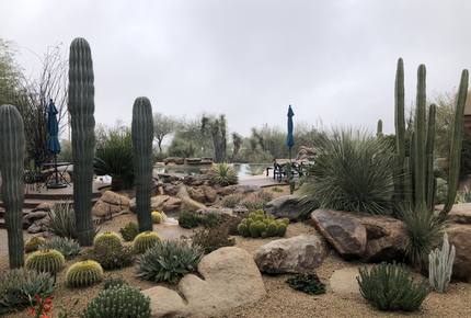 Desert Mountain Privacy