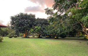 El Valle de Anton Home and Guest House - Rainforest, Beaches, Golf, and Hiking nearby! - El Valle de Anton, Panama