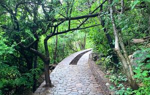 Casa Chicatana - Oceanfront Oaxaca Coast - Mazunte, Mexico