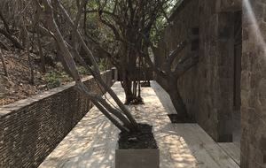 Casa Chicatana - Oceanfront Oaxaca Coast - Mazunte, Mexico