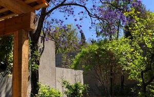 Casa Mia Sunshine - San Miguel de Allende, Mexico