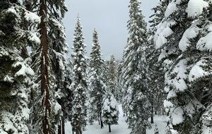 Tahoe Donner Retreat - Truckee, California