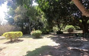 El Valle de Anton Home and Guest House - Rainforest, Beaches, Golf, and Hiking nearby! - El Valle de Anton, Panama