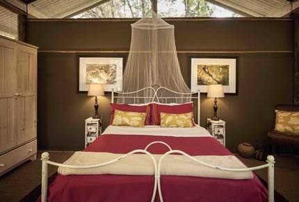 Tshilli Lodge - Maun, Botswana