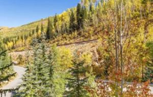 Ski-in/Ski-out Solitude Luxe Townhome - Brighton, Utah