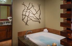 Red Rock Views Hyatt Residence - 1 Bedroom Suite - Sedona, Arizona