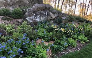 Luxury Farm Estate and Conservancy - Hyde Park, New York