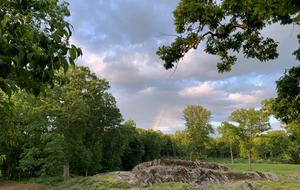 Luxury Farm Estate and Conservancy - Hyde Park, New York