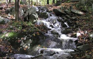 Luxury Farm Estate and Conservancy - Hyde Park, New York