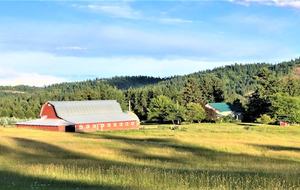 Gilmore Meadows - Coeur d'Alene, Idaho
