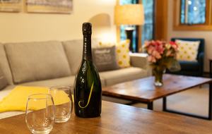 Snow Flower of Steamboat at the Base - Steamboat Springs, Colorado