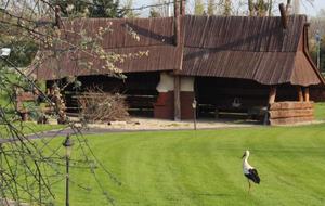 LedowoHouse with Golf Course and Pool - Ledowo, Poland