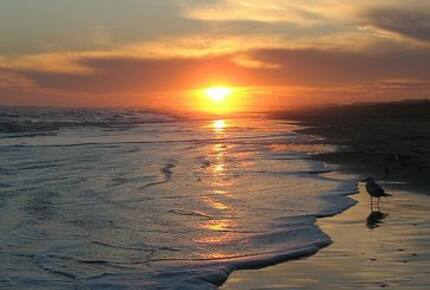 Palms' Porch - Isle of Palms, South Carolina