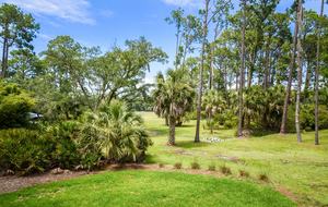 Crow's Nest Hilton Head Luxury - Hilton Head, South Carolina