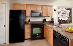 Sheraton Desert Oasis - Scottsdale, Arizona