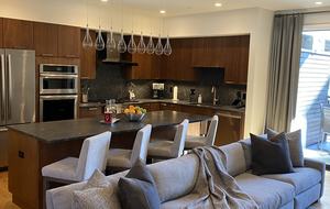 Vail - The Lion Luxury Apartment - Vail, Colorado