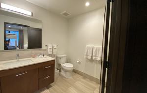 Vail - The Lion Luxury Apartment - Vail, Colorado