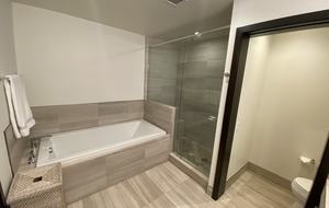 Vail - The Lion Luxury Apartment - Vail, Colorado