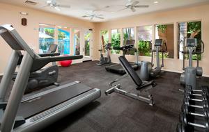 Sheraton Desert Oasis - Scottsdale, Arizona