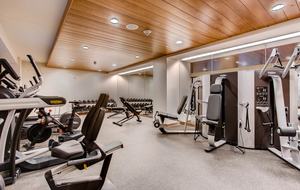 Vail - The Lion Luxury Apartment - Vail, Colorado