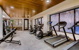 Vail - The Lion Luxury Apartment - Vail, Colorado