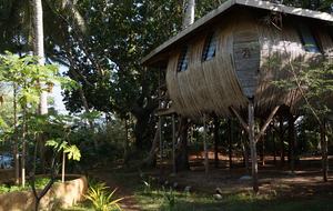 All-Inclusive 7-night TradeWinds TERRA "with a Splash" at Mandala Private Island - Neiafu, Tonga