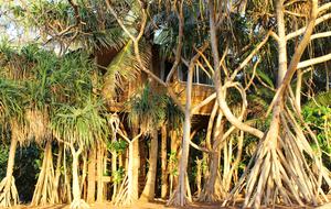 All-Inclusive 7-night TradeWinds TERRA "with a Splash" at Mandala Private Island - Neiafu, Tonga