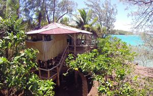 All-Inclusive 7-night TradeWinds TERRA "with a Splash" at Mandala Private Island - Neiafu, Tonga
