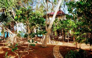 All-Inclusive 7-night TradeWinds TERRA "with a Splash" at Mandala Private Island - Neiafu, Tonga