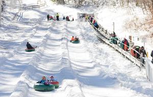 Laurelwood - Near Cashiers and Highlands! - Glenville, North Carolina