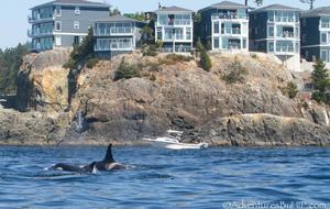 SookePoint 2-Bedroom Ocean Cottage - Sooke, Canada