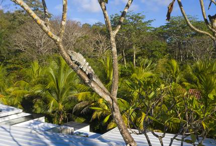 Villa Akoya - Santa Teresa, Costa Rica