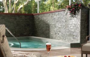 Marriott Cypress Harbour 2 Bedroom Luxe Villa - Orlando, Florida