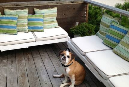 Fire Island, The Pines Beachfront - Fire Island Pines, New York