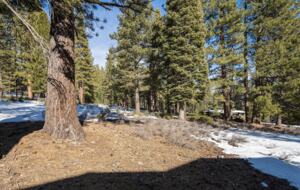 Lavish & Modern Alpine Escape | Near Golf & Skiing - Truckee, California