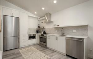 Downtown Aspen Abode - Aspen, Colorado