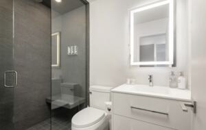 Downtown Aspen Abode - Aspen, Colorado