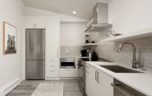 Downtown Aspen Abode - Aspen, Colorado