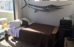 Pacific Beach Paradise - 4 BR - San Diego, California