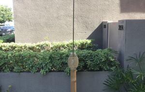 Pacific Beach Paradise - 4 BR - San Diego, California