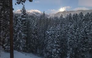 Moon rising in the east over snow covered trees.