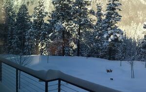 Deck with views of snow covered cliffs and trees.