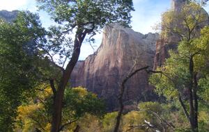 Home Exchange in Orderville, UT, mountains surrounding the home