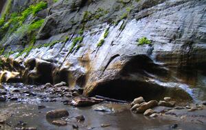 Home Exchange in Orderville, UT, so much to see here and near Utah!